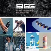 Sticlă din oțel inoxidabil Sigg Shield ONE Multicolor Ruby pentru băuturi carbogazoase, etanșă, fără BPA, roz, 0,75 L 6