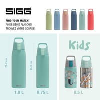 Nerezová fľaša na pitie Sigg Shield ONE - svetlomodrá - 750 ml 5