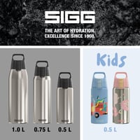 Termos izolat Sigg Shield Therm One Brushed - pentru băuturi carbogazoase - etanș - lavabil în mașina de spălat vase - fără BPA - 90% oțel inoxidabil reciclat - argintiu - 0,75L 6
