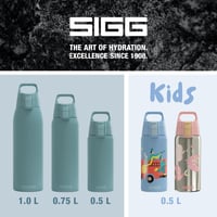 Termos izolat SIGG Shield Therm One Morning Blue - pentru băuturi carbogazoase - etanș - lavabil în mașina de spălat vase - fără BPA - 90% oțel inoxidabil reciclat - 0,5 L 6