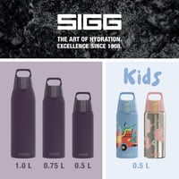 Izolovaná termoska Sigg Shield Therm One Nocturne na sýtené nápoje - tmavofialová - 0,75 l - nehrdzavejúca oceľ - bez BPA - vhodná do umývačky riadu 6