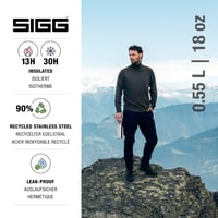 Nerezová termoska SIGG Hot & Cold One s čajovým sitkom, nepriepustná, bez BPA, 0,55 l 2