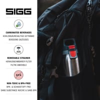 Nerezová termoska SIGG Hot & Cold One s čajovým sitkom, nepriepustná, bez BPA, 0,55 l 3