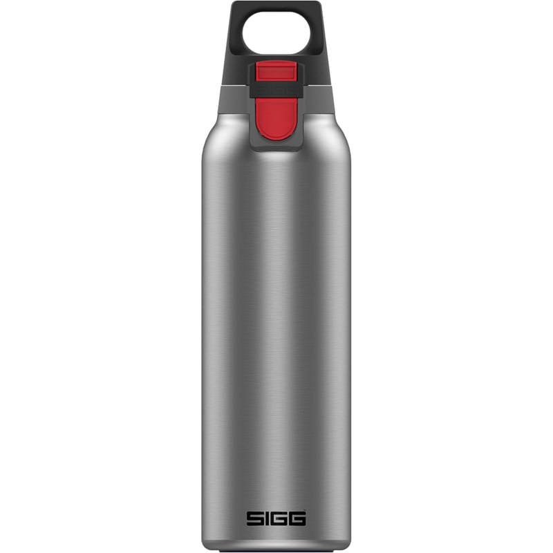 Nerezová termoska SIGG Hot & Cold One s čajovým sitkom, nepriepustná, bez BPA, 0,55 l