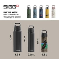Detská hliníková fľaša na bicykel Sigg WMB ONE - sivá - 0,6 l 5