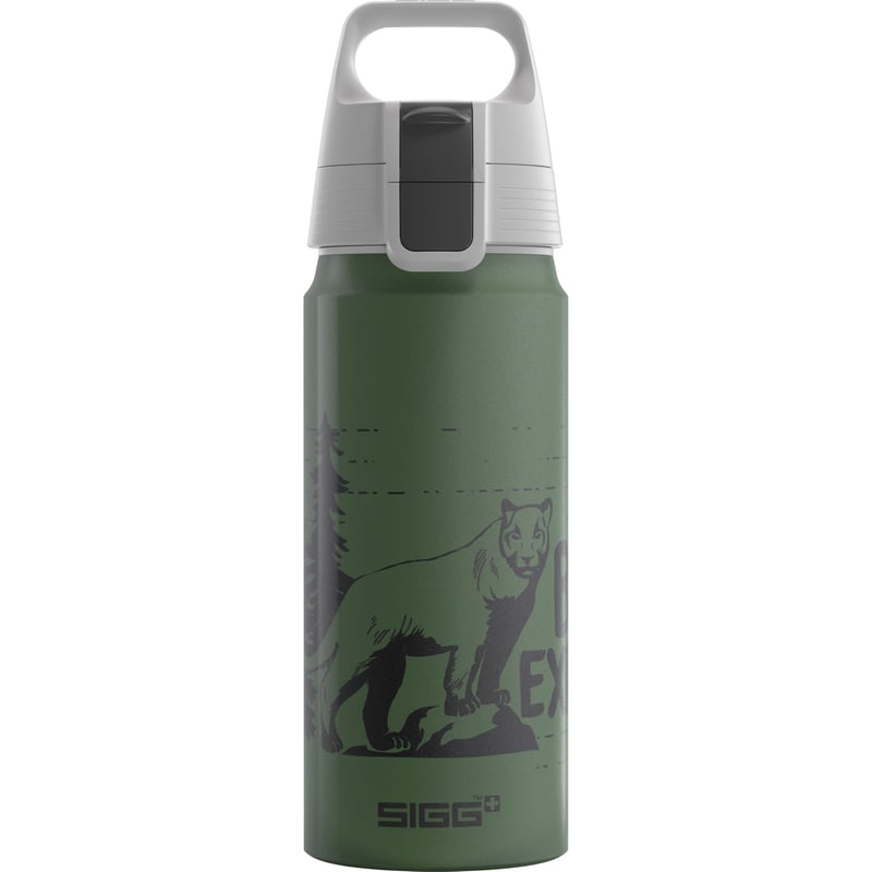 Detská hliníková fľaša Sigg WMB ONE Brave Lion – 0,6 l, machovo zelená, vhodná aj na sýtené nápoje, nepriepustná, bez BPA