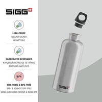 SIGG Traveller alumínium sportkulacs szénsavas italokhoz, BPA-mentes - szürke - 0,6 L 3