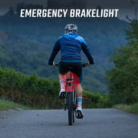 Lampă spate pentru bicicletă electrică SIGMA EOX RL pe portbagaj – compatibilă cu Rack Brake, lampă LED pentru bicicletă 6