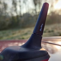 Antenă neagră Simoni Racing ASR/196-N pentru autoturisme Alfa Romeo, Fiat și Lancia 8