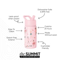 Detská fľaša na vodu Simple Modern Summit so slamkou, nehrdzavejúca oceľ, 415 ml, vzor Pink Ballerina, pre dievčatá a malé deti 2
