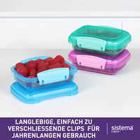 Set recipiente pentru prânz Sistema – 200 ml, 3 bucăți, culori asortate, plastic fără BPA, recipiente mici pentru gustări 2