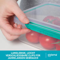 Sistema TO GO Bento Box Cubes uzsonnásdoboz rekeszekkel és snackboxszal, 2 x 1,65 L, BPA-mentes, Minty Teal és Ocean Blue, 2 db 4