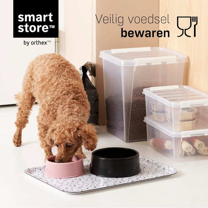 SmartStore 10 db Műanyag Tárolódoboz Fedővel 0,3L Konyha Szervezés