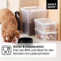 Cutie de depozitare cu capac SmartStore – Set de 10 cutii mici de 2L – 21x17x11 cm – Set organizator transparent 6