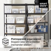 Cutie de depozitare cu capac SmartStore – Set de 10 cutii mici de 2L – 21x17x11 cm – Set organizator transparent 4