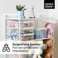 Cutie de depozitare SmartStore cu capac – Set de 10 cutii mici de 3L – 21x17x15 cm 5