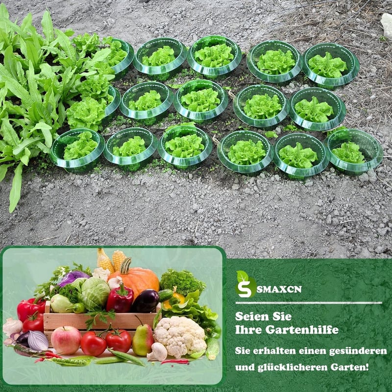 Smaxcn Inele anti-melci, set de 30 bucăți - protecție naturală pentru salată și varză, plastic rezistent la intemperii, diametru 24 cm, verde