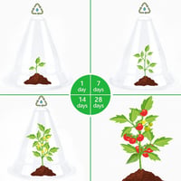SMUJU 20db Nagyméretű Növényvédő Harang 27cm Átlátszó Növénysátor Madarak Csigák Fagy Ellen - 20, Large transparent 5