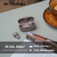 Căști in-ear Sony WF-1000XM5 Premium True Wireless Bluetooth cu anulare a zgomotului 6