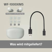 Sony WF-1000XM5 zajszűrős True Wireless fülhallgató - ezüst 10