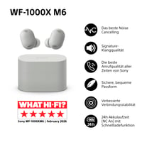 Bezdrôtové slúchadlá s potlačením hluku Sony WF-1000XM6, Bluetooth, Hi-Res, 10-pásmový ekvalizér, výdrž batérie 24 hodín, IPX4, kompatibilné s iOS a Android, strieborné 2
