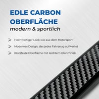 Speed-Buster Carbon držiak na evidenčné číslo 2 ks - 520 mm - Vyrobené v Nemecku 4