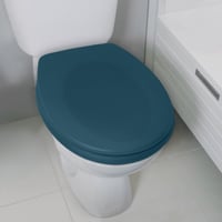 Spirella Premium ovális WC-ülőke Softclose lecsapódásgátlóval, antibakteriális Duroplast anyagból, rozsdamentes acél - Petrol matt 2