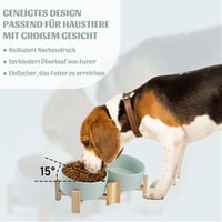 SPUNKYJUNKY 15° Dönthető Kerámia Tál Fa Állvánnyal, Kutyák és Macskák Számára, 2x850ml, Morandi Zöld 2