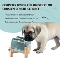 SPUNKYJUNKY 15° dönthető kerámia tál kutyáknak macskáknak 400ml világoszöld 2