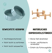 SPUNKYJUNKY 15° dönthető kerámia tál kutyáknak macskáknak 400ml világoszöld 7