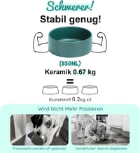 SPUNKYJUNKY Kerámia Emelt Tál Bambusz Állvánnyal Macskáknak és Kutyáknak 850ml Zöld 5