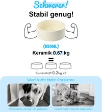 SPUNKYJUNKY Kerámia Emelt Tál Bambusz Állvánnyal Macskáknak és Kutyáknak 850ml Bézs 5