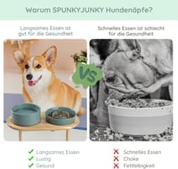 SPUNKYJUNKY Kerámia Etetőtál Szett Bambusz Állvánnyal - Csúszásgátlós Dupla Tál Kutyáknak és Macskáknak, Lassú Etetővel, Mosogatógépben Mosh 2