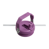 Pahar cu pai Stanley 1913 Flip Straw Tumbler 0,89 L - Lila 9