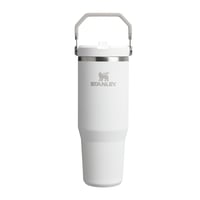 Termosový pohár Stanley Flip Straw Tumbler 0,89 l vo farbe Frost – bez obsahu BPA, nepriepustný, vhodný do umývačky riadu 1