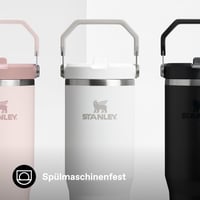 Termosový pohár Stanley Flip Straw Tumbler 0,89 l vo farbe Frost – bez obsahu BPA, nepriepustný, vhodný do umývačky riadu 7
