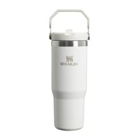 Termoska so slamkou Stanley Flip Straw Tumbler 0,89 l – Udrží nápoj studený 12+ hodín – Vhodná do umývačky riadu – Bez obsahu BPA – Farba: Frost 1