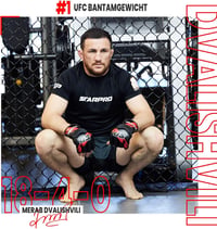 Starpro MMA grappling kesztyű - sparring és küzdelem edzéshez- S 4