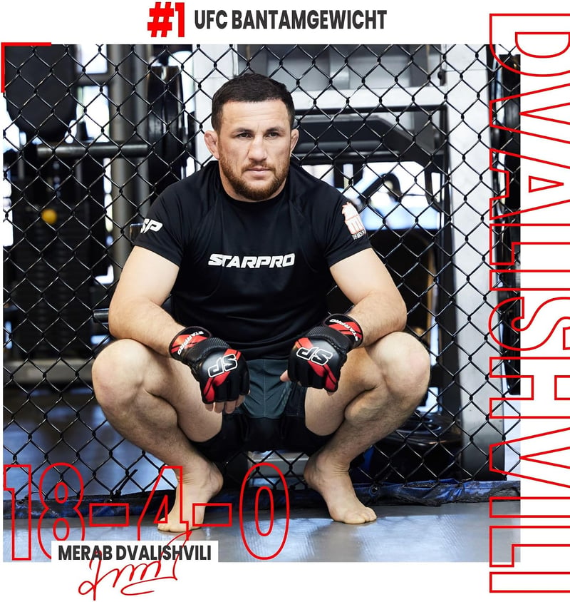 Starpro MMA grappling kesztyű - sparring és küzdelem edzéshez- S