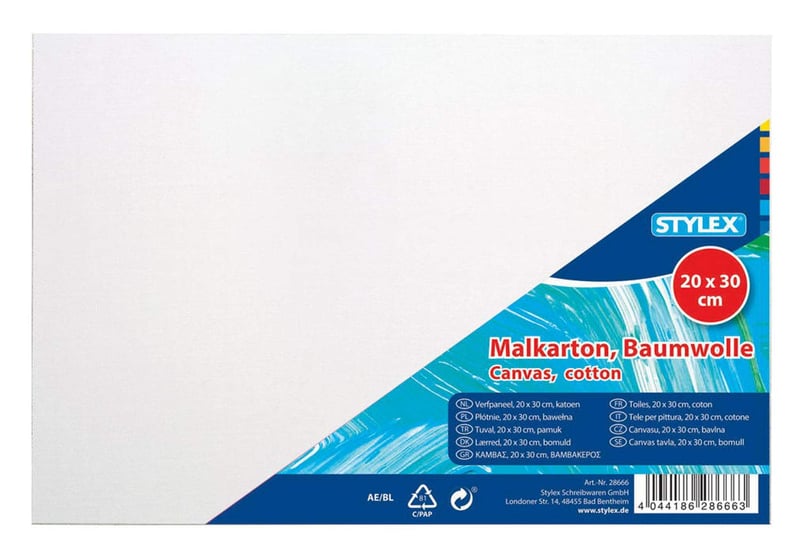 Carton pânzat pentru pictură Stylex, 20x30 cm, grosime 3 mm, acoperit cu pânză 100% bumbac, grunduit alb, pentru culori în ulei, acrilice și tempera, 10 bucăți