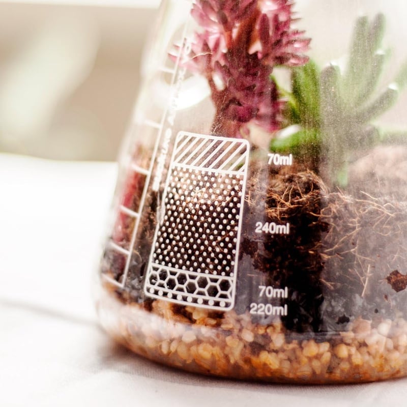 SUCK UK Kémia Terrarium Készlet - Üveg Növénytartó Szett