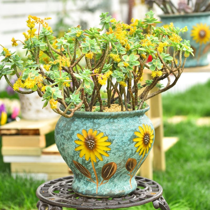 Sungmor Kézzel Festett Szukkulenta Cserép 23cm Kerámia Virágcserép Dekoratív Váza - Blue and Daisies (Diameter : 9" & H:8"