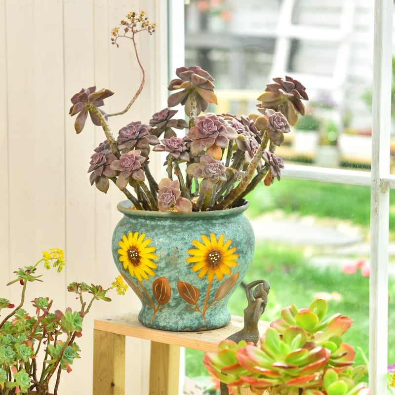 Sungmor Kézzel Festett Szukkulenta Cserép 23cm Kerámia Virágcserép Dekoratív Váza - Blue and Daisies (Diameter : 9" & H:8"