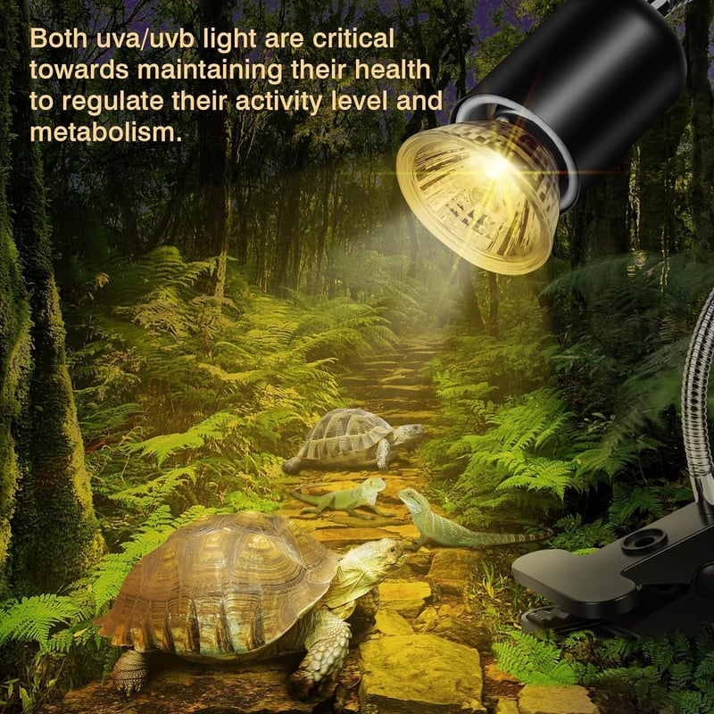 Sunshine smile Teknős Hőlámpa 25W 50W Terrárium Melegítő Reptiliumhoz