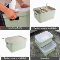 Úložný box Sunware Sigma Home 32 l – 44,5x34,5x24,3 cm – plastový organizér do kúpeľne a kuchyne – kompatibilný s vekom – 8