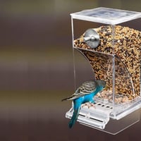 SUPYINI Automata Madáretető Átlátszó Papagájketrec Kiegészítés Budgik Kanárik 8