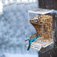 SUPYINI Automata Madáretető Átlátszó Papagájketrec Kiegészítés Budgik Kanárik 9
