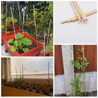 Suxgumoe bambusovi štapovi za potporu biljaka, 50 komada, 40 cm, višekratni vrtni štapovi za cvijeće i biljke, bež, vrtni alat 5