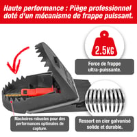 SWISSINNO Pro SuperCat Pasca na potkany – 1 pasca + 2 náplne s arašidovou návnadou – Patentovaný systém Easy Catch – Silná pružina – Opakovane použiteľná 4
