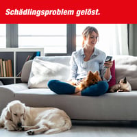 Capcană pentru șoareci SWISSINNO SuperCat PRO – 2 capcane cu momeală și 2 seringi cu momeală – Eficientă și reutilizabilă – Pentru utilizare în interior și exterior 9